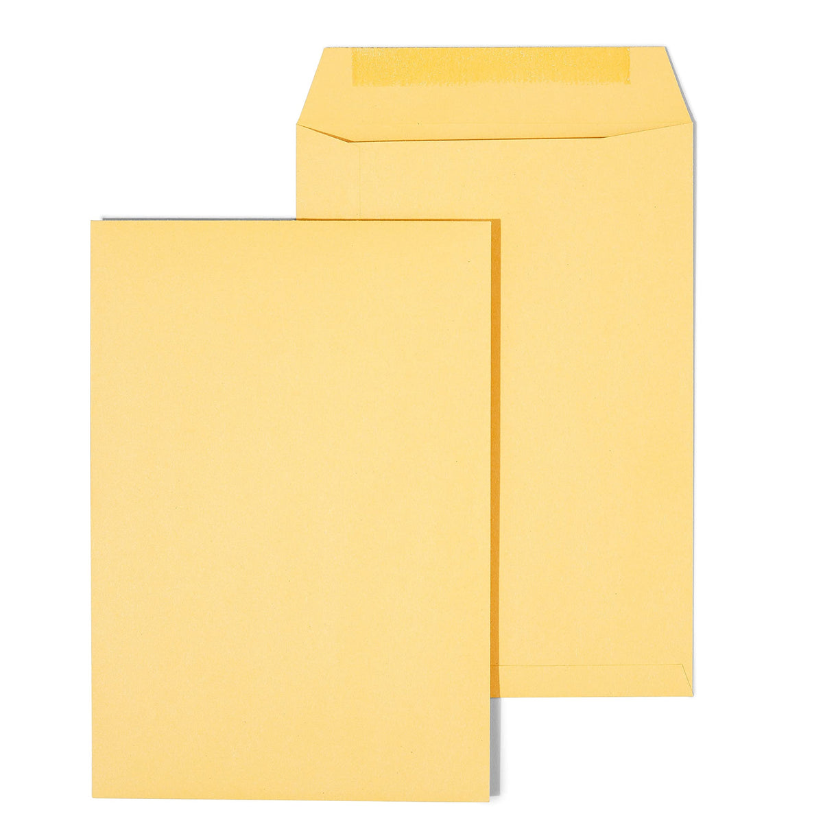 6.5x9.5 Kraft Catalog Envelopes, Brown, Heavyweight, 100/Box