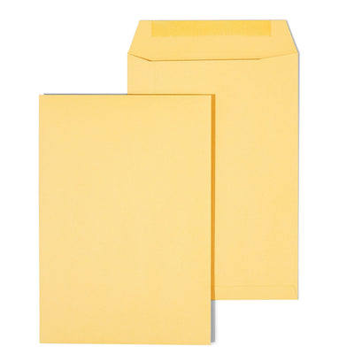 6.5x9.5 Kraft Catalog Envelopes, Brown, Heavyweight, 100/Box