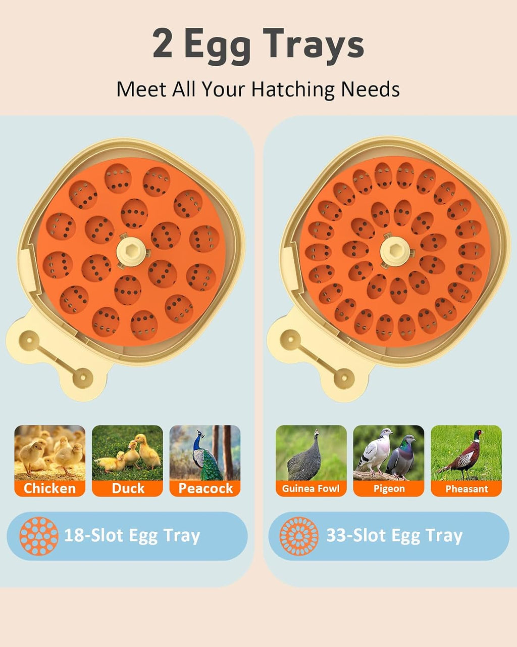18 Egg Incubator for Hatching Eggs with Automatic Turning, Digital Temperature & Humidity Control, Built-in Egg