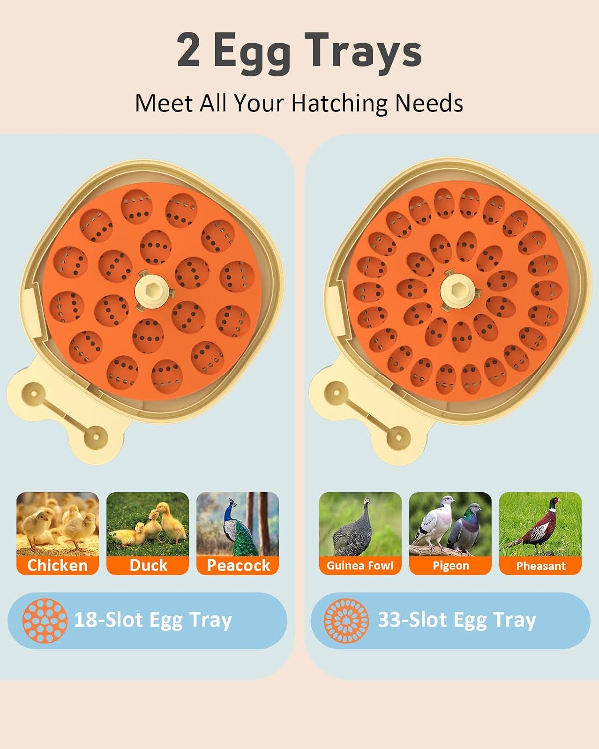 18 Egg Incubator for Hatching Eggs with Automatic Turning, Digital Temperature & Humidity Control, Built-in Egg