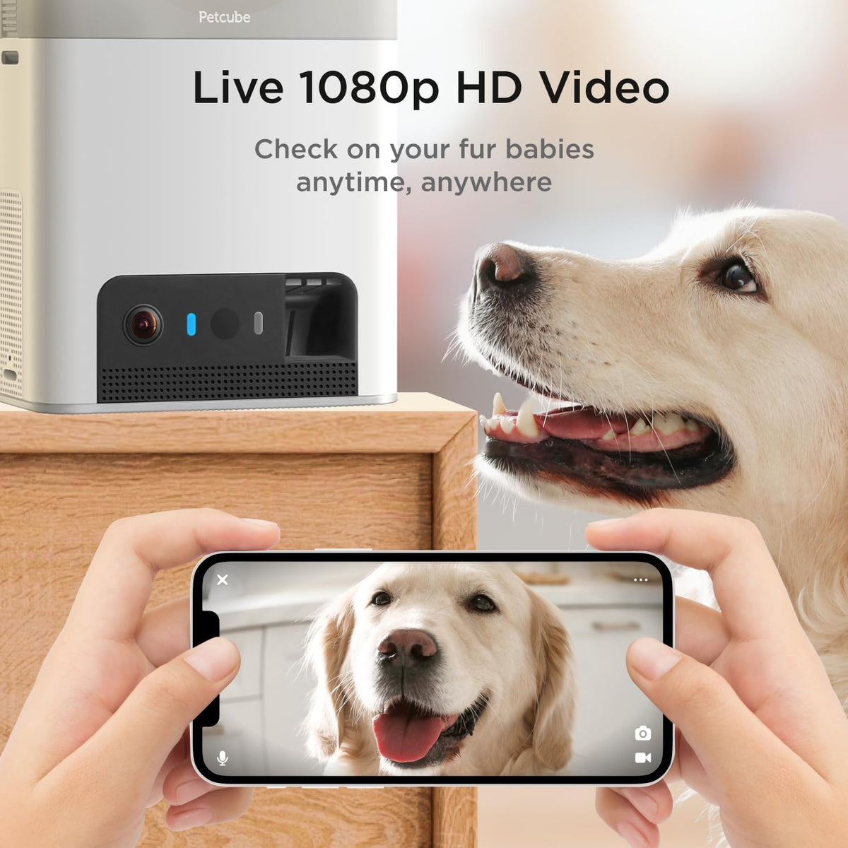 Bites 2 Lite - WiFi Pet Camera with Treat Dispenser & App