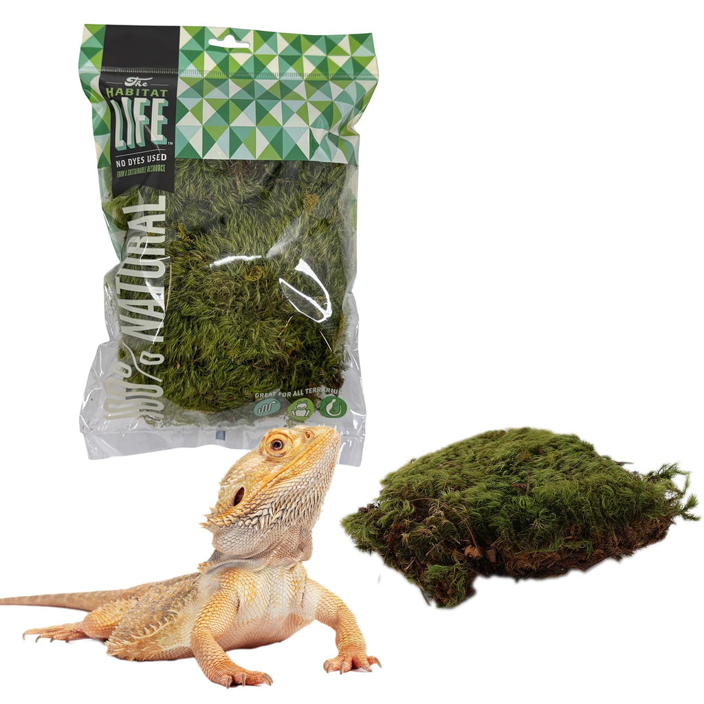 Mood Moss for Terrarium Habitats, Small 1-Pack