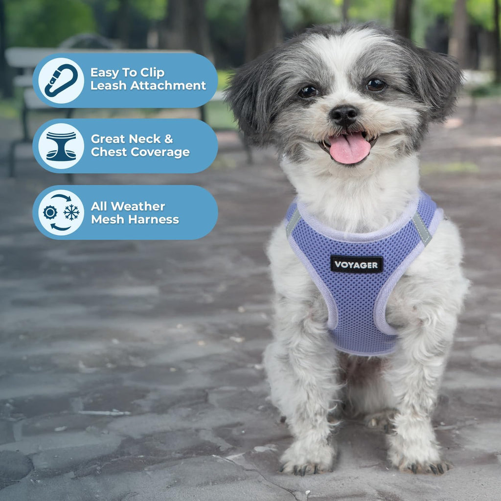 Voyager Step-in Air Harness - All Weather Mesh, Reflective, No Pull Harness for Dogs, Cats - Secure with Hook & Loop