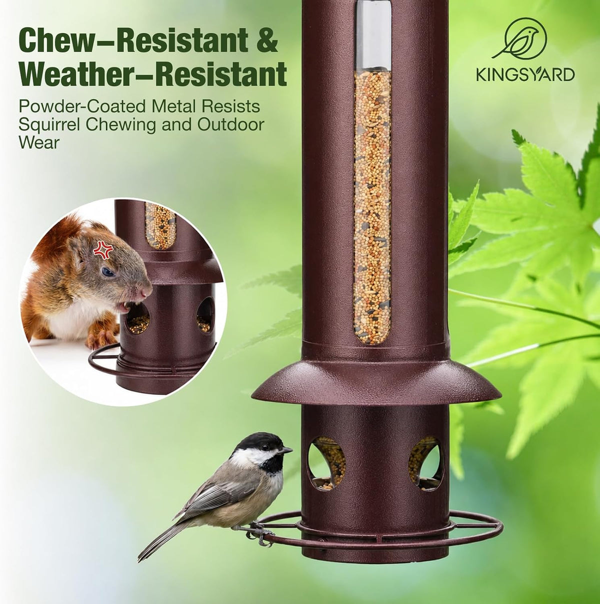 Squirrel Proof Hanging Bird Feeder for Outdoors