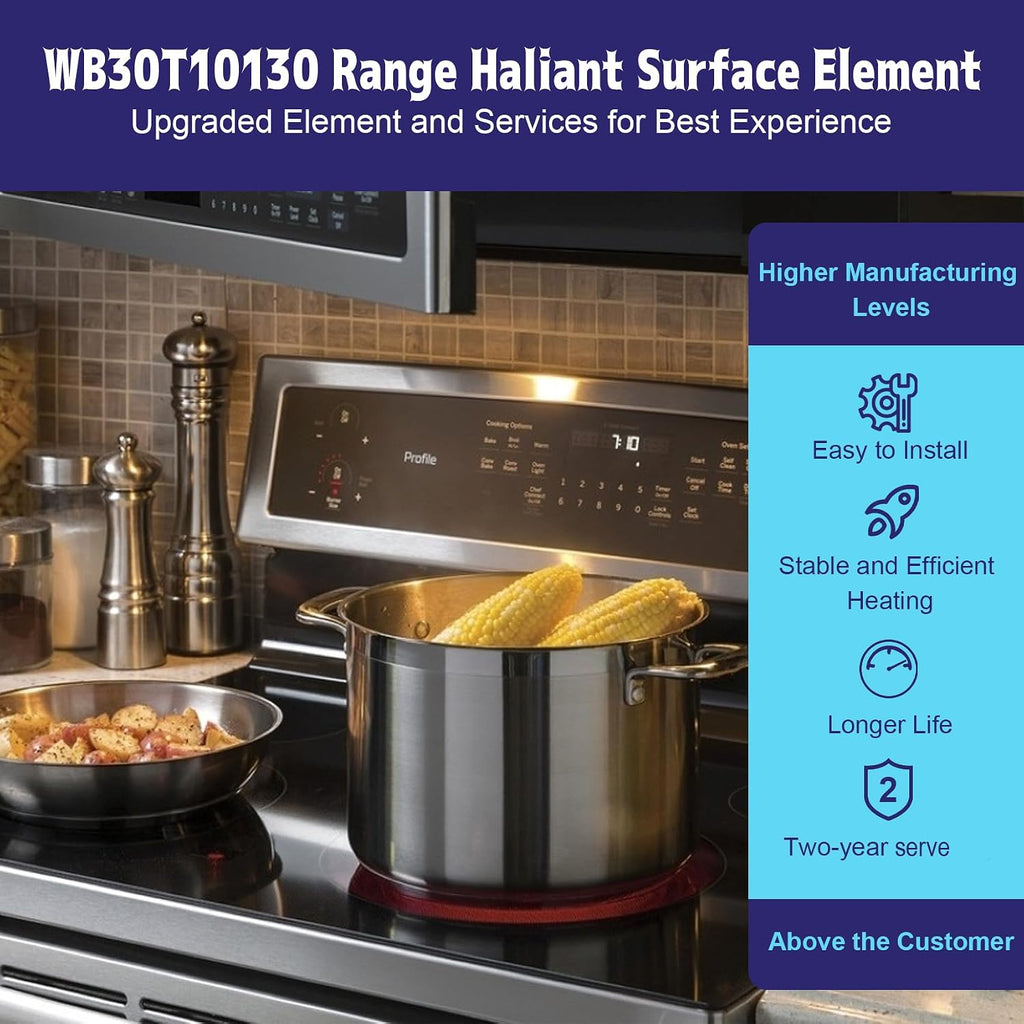 WB30T10130 Range 12"/9" Dual Haliant/Radiant Surface Element
