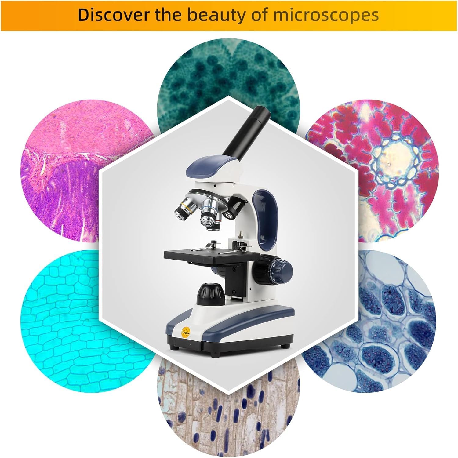 Compound Monocular Microscope SW200DL with 40X-1000X Magnification, Dual Light, Precision Fine Focus, Wide-Field 25X