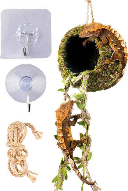 Reptile Hide with Hanging Climbing Ladder – Handmade Crested Gecko Tank Accessories, Hide for Crested Gecko, Hermit