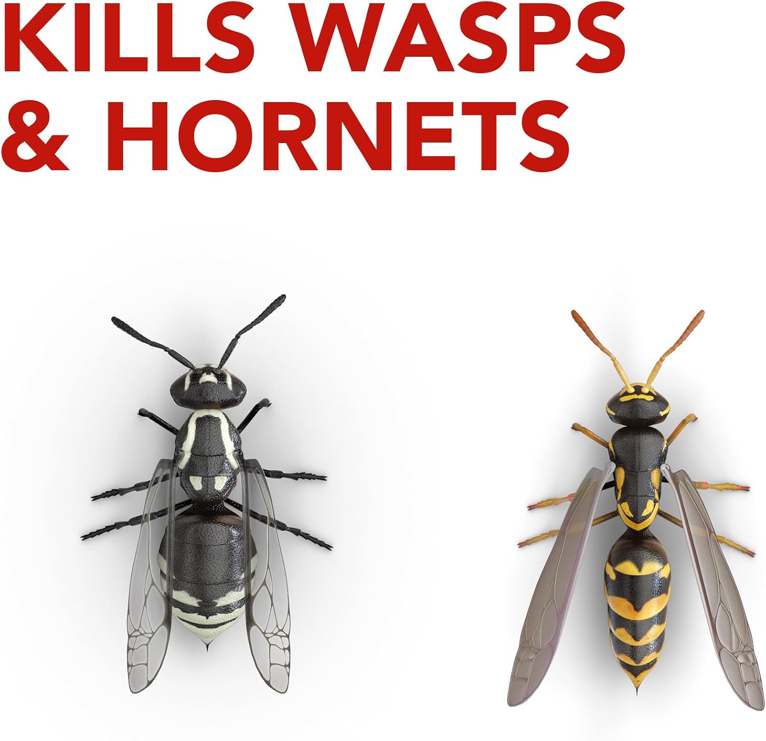 Wasp and Hornet Killer Spray, Kills the entire nest, Kills Paper Wasps, Yellow Jackets, Mud Daubers and more, 13 oz