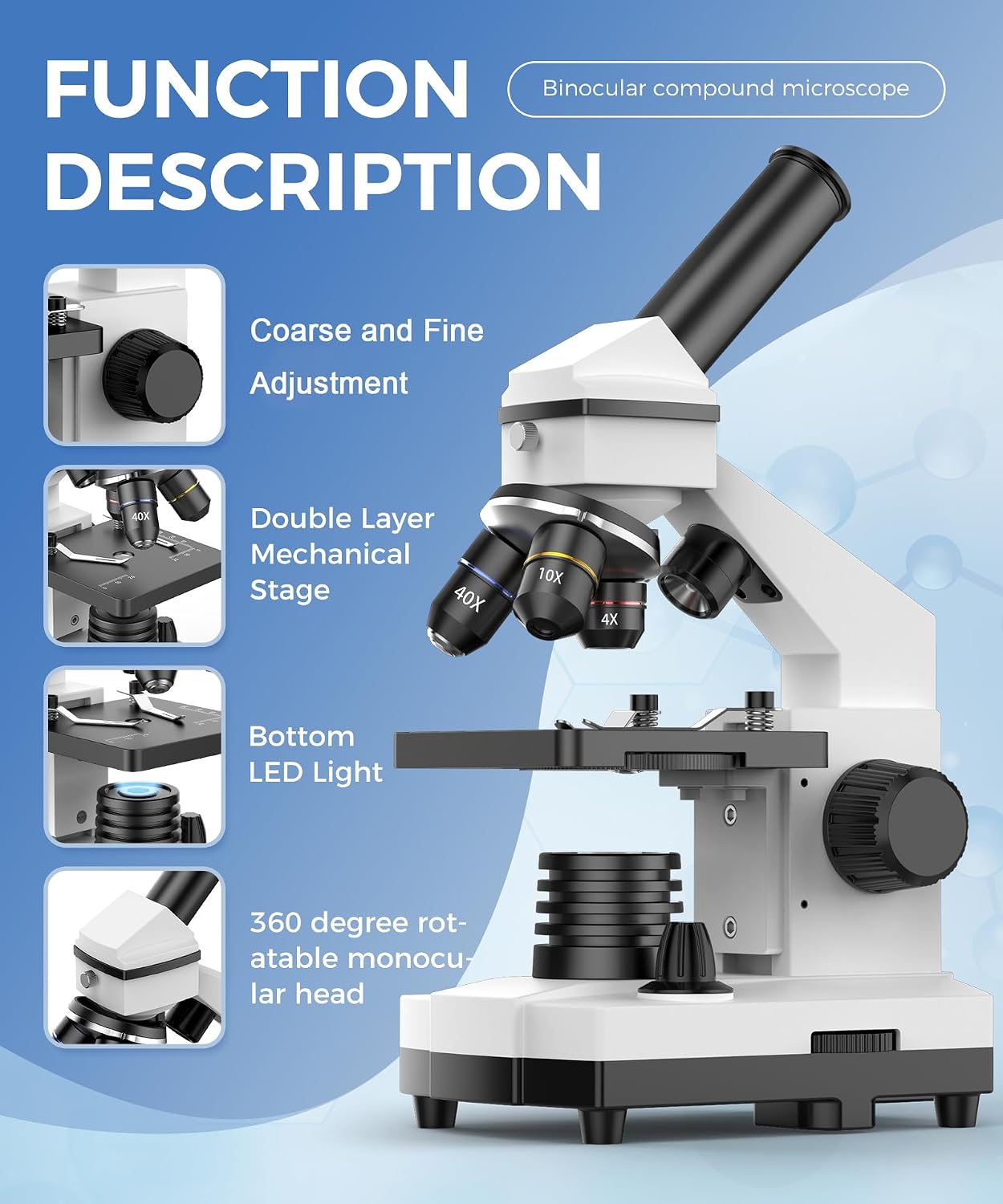 Compound Microscope for Adults & Students, White | 100X-2000X High-Power, Biological Microscope, School Lab & Home