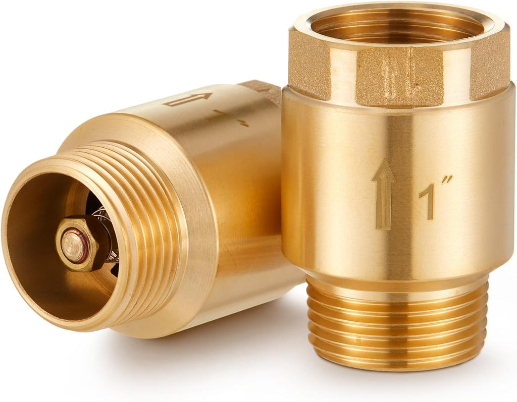 Zonon 2 Pcs 1 Inch Check Valve, One Way Spring Brass Check Valve