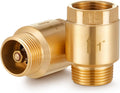 Zonon 2 Pcs 1 Inch Check Valve, One Way Spring Brass Check Valve