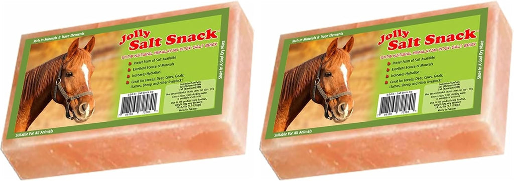 Himalayan Salt Block on Rope for Horses, 4.4 Pounds, SS44 (Pack of 2)