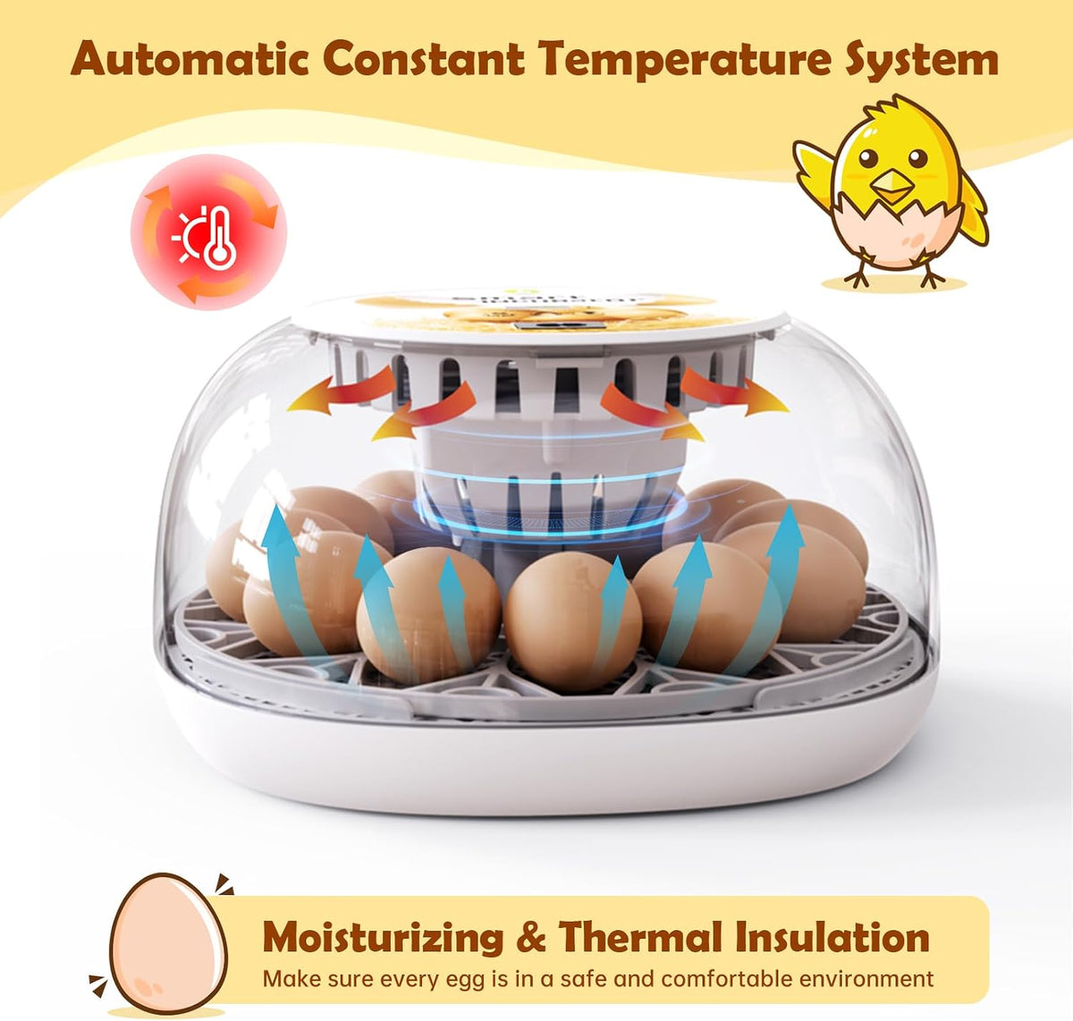 Egg Incubator for Hatching Chicks, Automatic Egg Turner Holds 12 Eggs