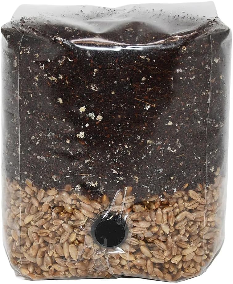Mini All in One Mushroom Grow Bag