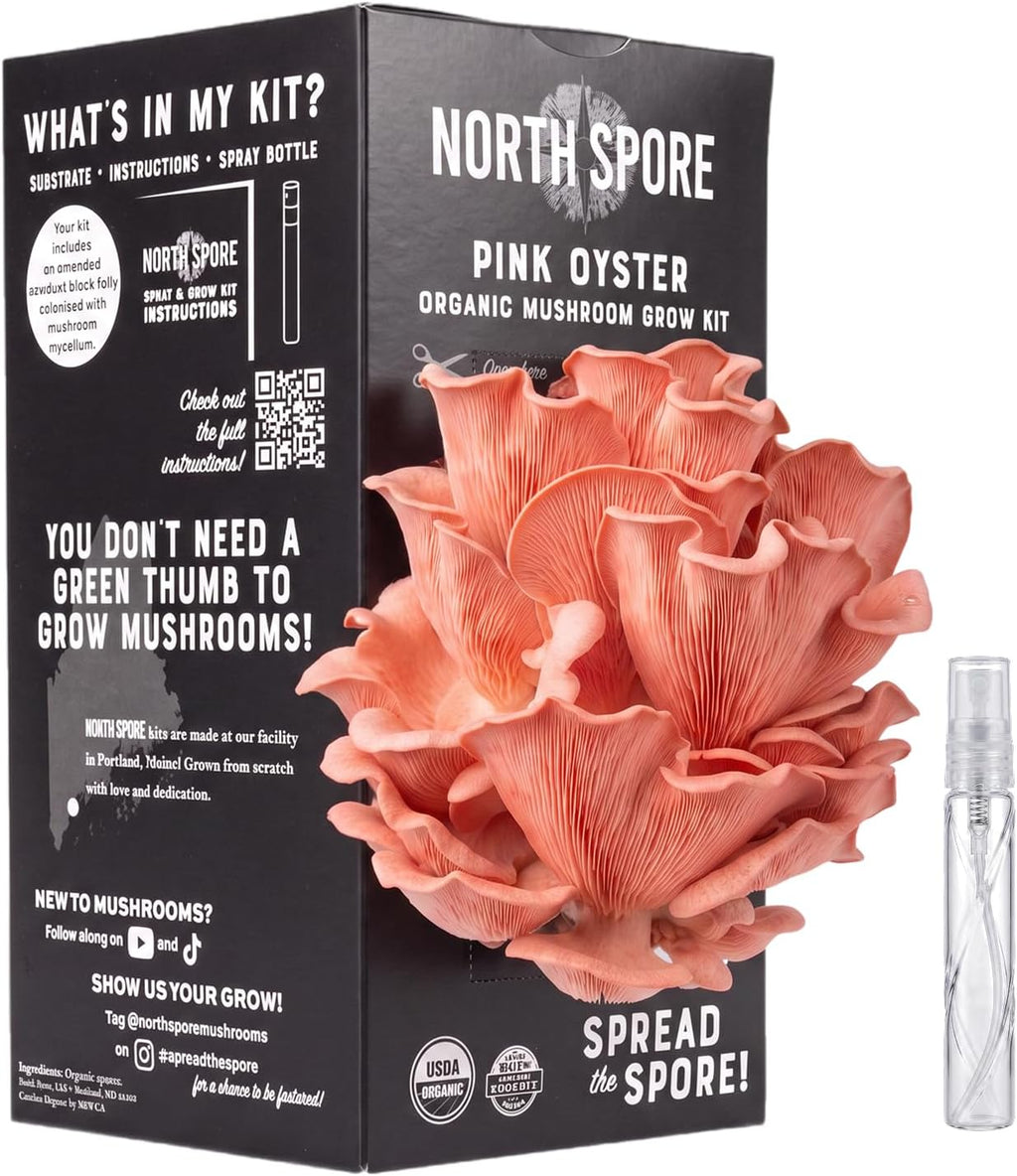 Organic Pink Oyster Mushroom Grow Kit, 4 lbs