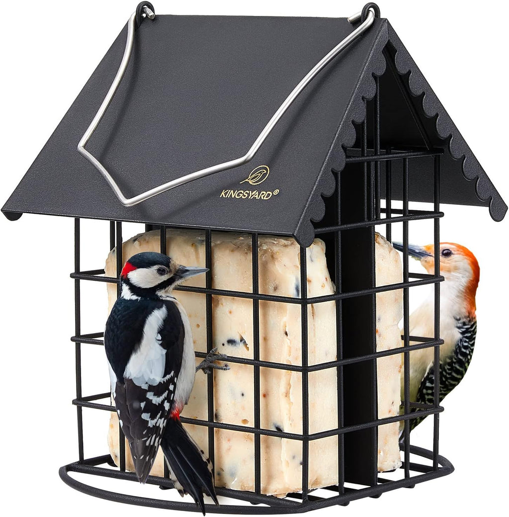 All Metal Double Suet Bird Feeder with Perch