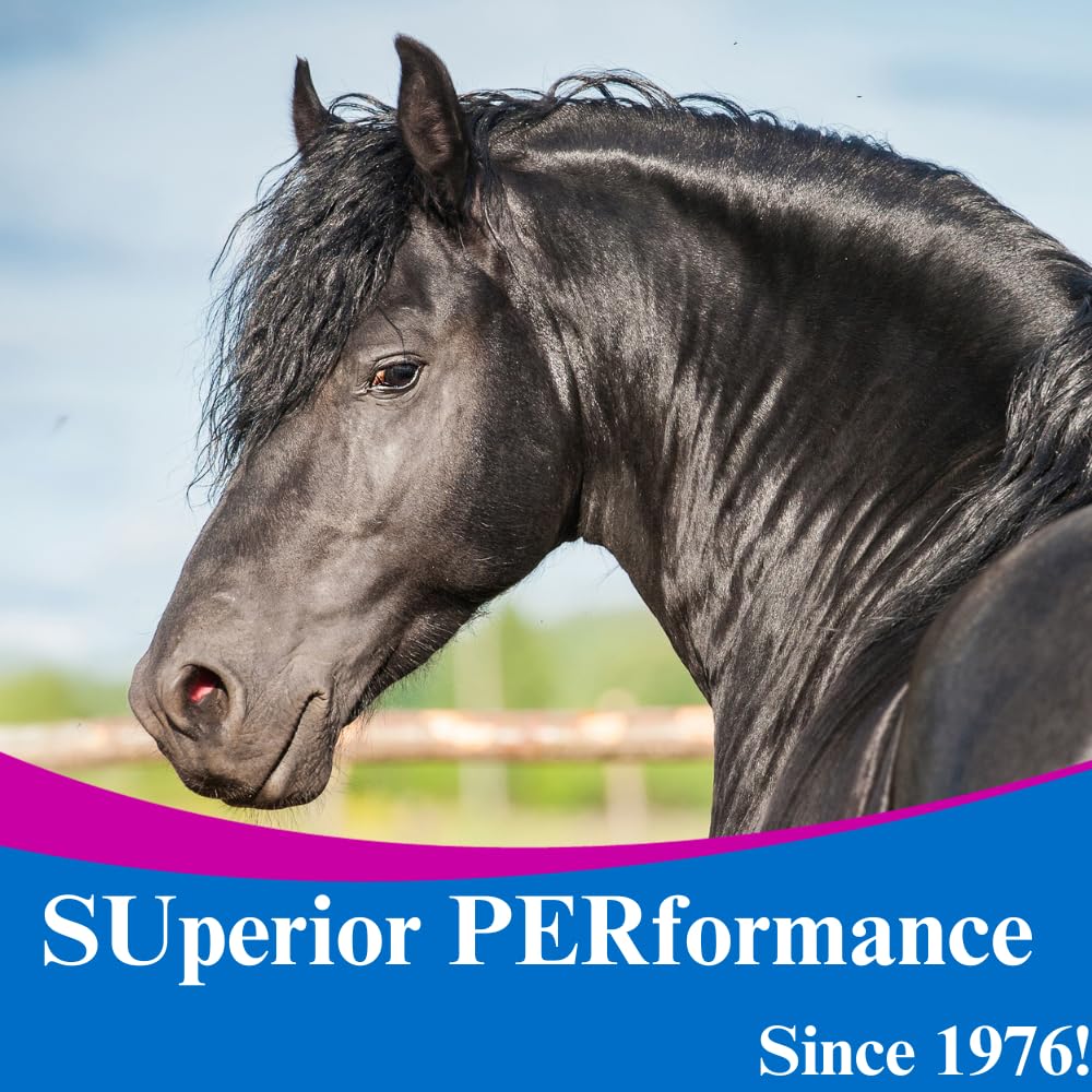 Lyte Electrolyte Supplement for Horses, 30 cc Paste