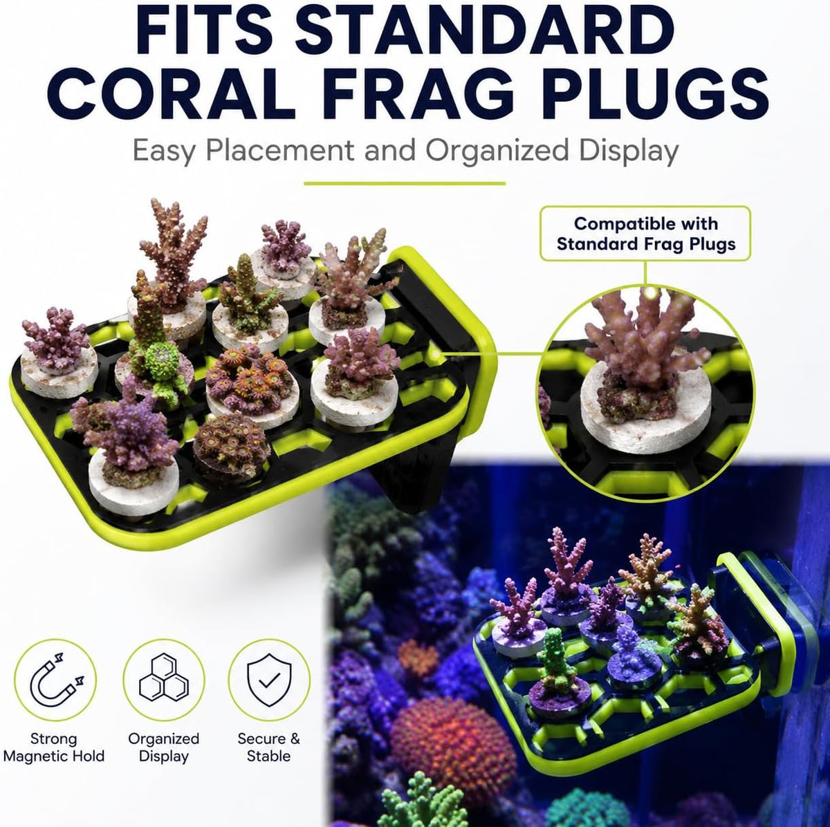 Magnetic Coral Frag Rack 3x3 Inch Reef Tank Frag Holder Compatible with Standard Coral Frag Plugs, Side Mount
