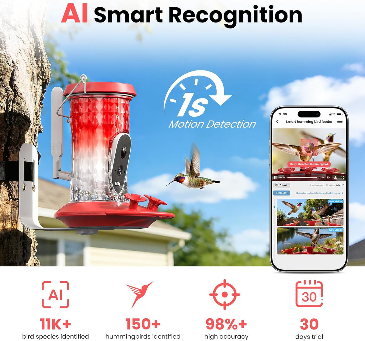 Smart Hummingbird Feeder with Camera (Red)