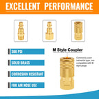 SUNGATOR 8-Piece Solid Brass 1/4" NPT Air Compressor Fitting, Quick Connect