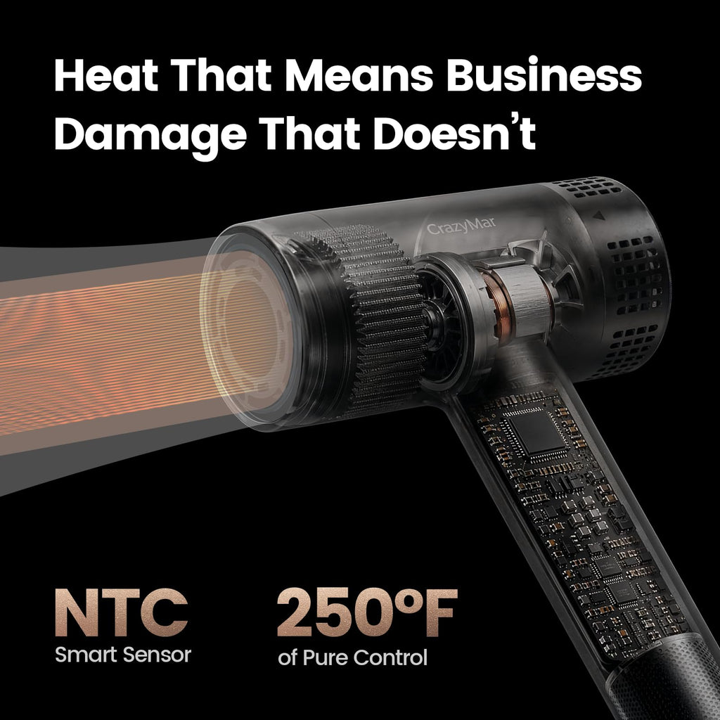 High Speed Ionic Hair Dryer with Diffuser, LED Display