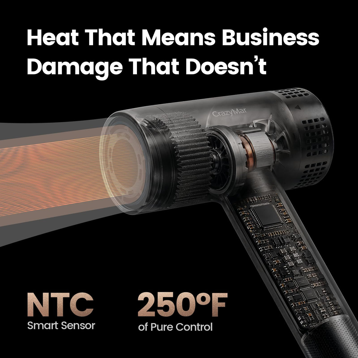 High Speed Ionic Hair Dryer with Diffuser, LED Display