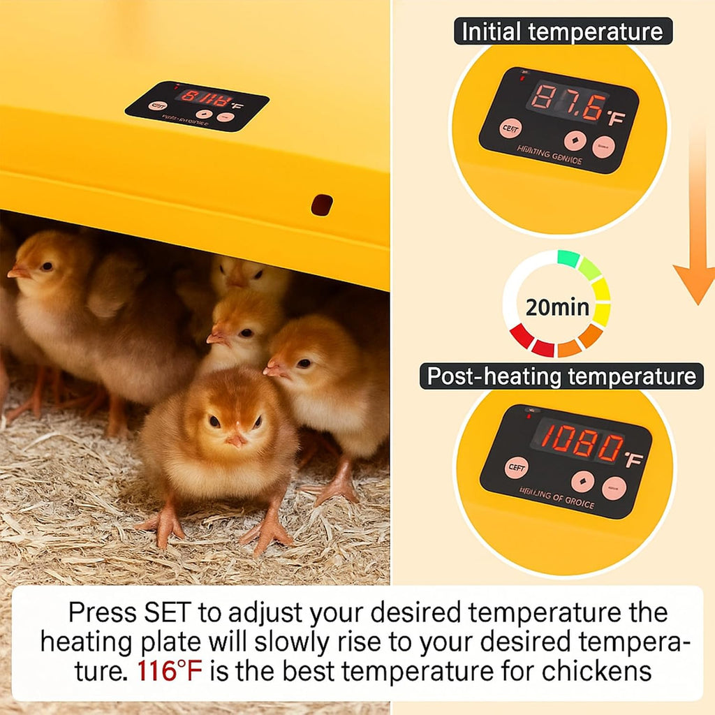 Adjustable 16x16 brooder Heating Plate for Baby Chicks, Providing Constant, efficient Warmth. Safe, Energy-Saving