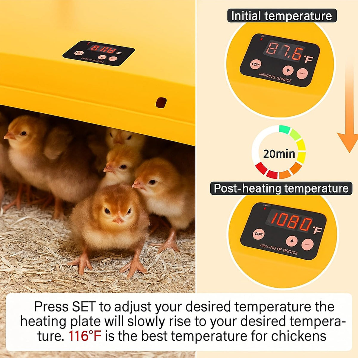 Adjustable 16x16 brooder Heating Plate for Baby Chicks, Providing Constant, efficient Warmth. Safe, Energy-Saving