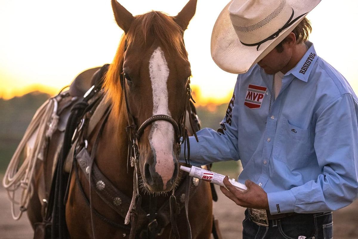 Electro-Cell II Electrolyte Paste with Probiotics for Horses