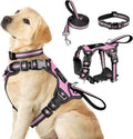 Pet Harness Collar and Leash Set, All-in-one Reflective Dog Harness No Pull with Adjustable Buckles for Puppies
