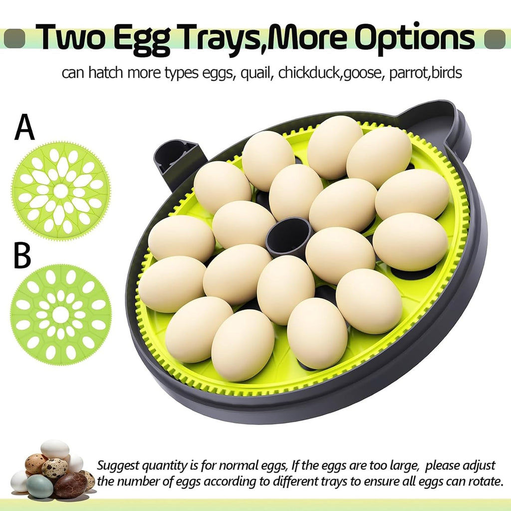 Egg Incubators for Hatching Eggs, Temperature Humidity Control