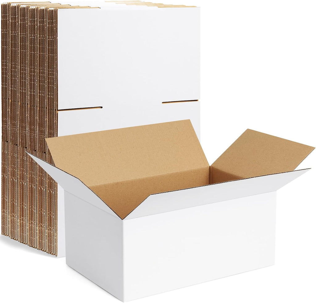 10 Pack 9x6x4 Inch Small Shipping Boxes White Corrugated Cardboard Boxes Mailer for Small Business, Mailing Boxes for