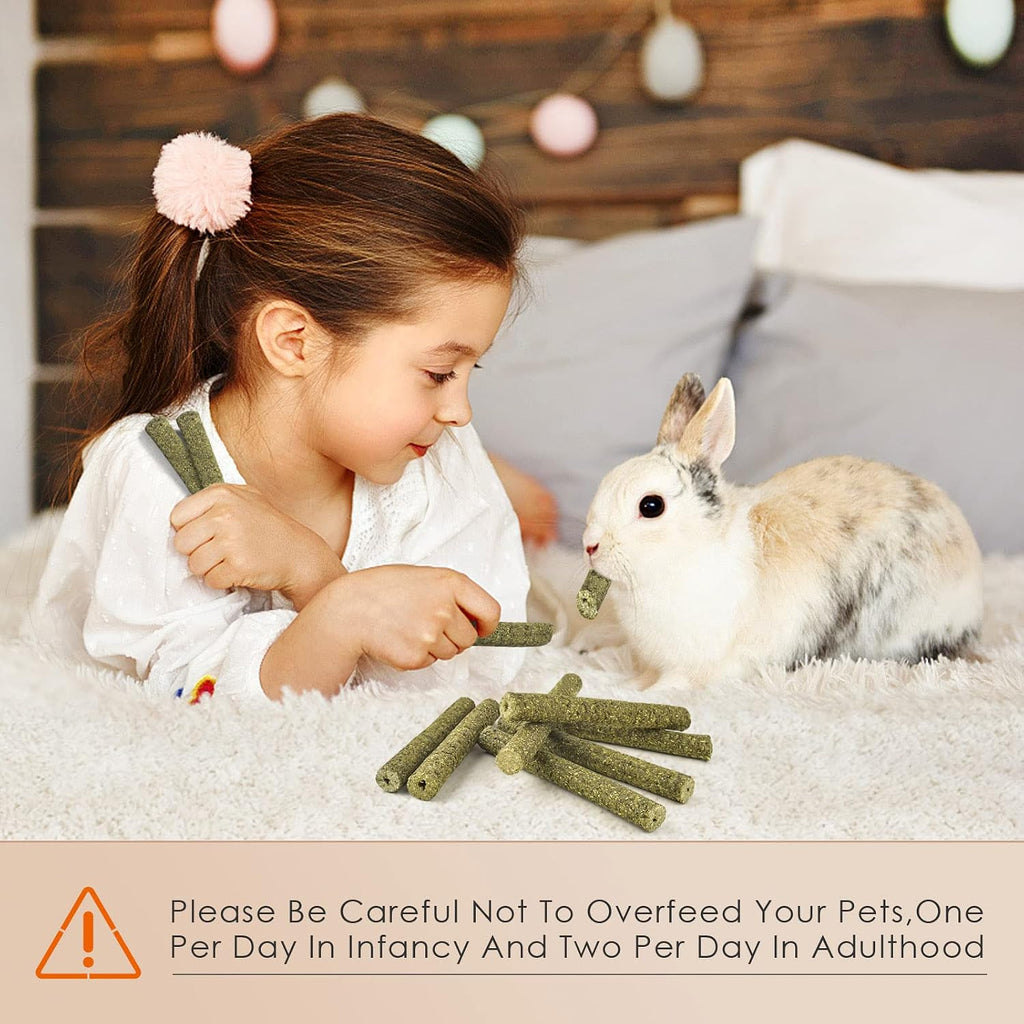 Timothy Hay Sticks for Rabbits 38PCS, Natural Timothy Grass Molar Teeth Stick Chew Toys for Bunnies Chinchillas