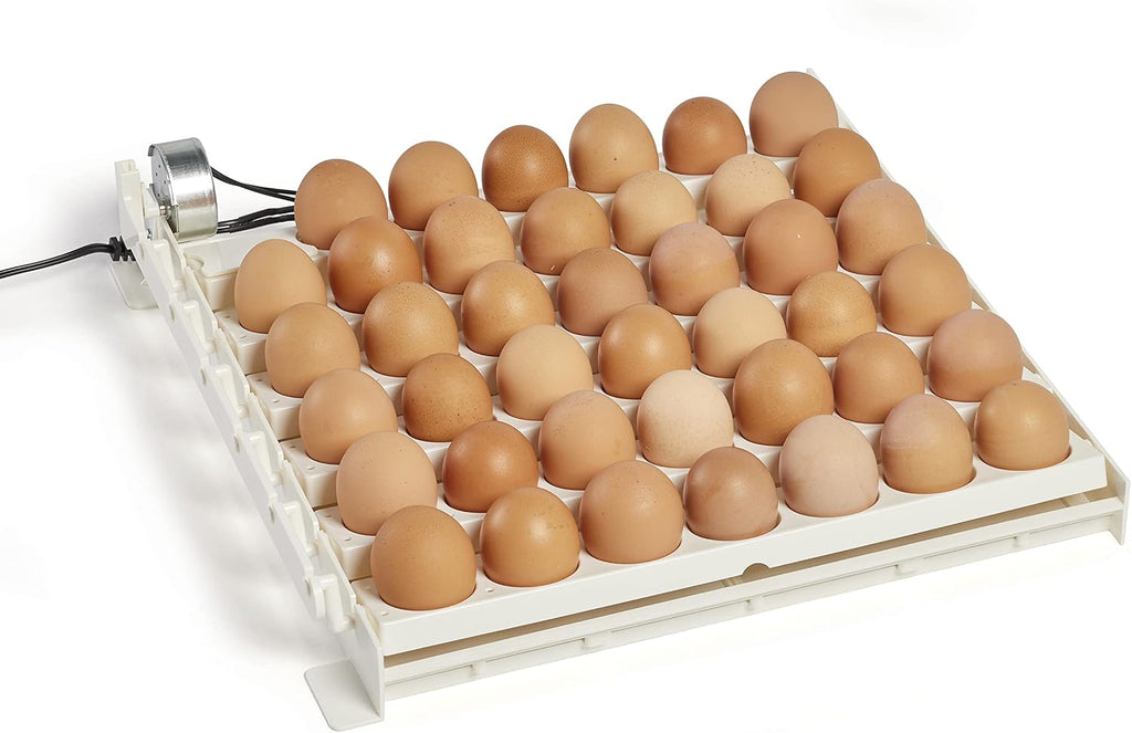 Farm Innovators 3200 Automatic Egg Turner for Incubators, 41 Eggs