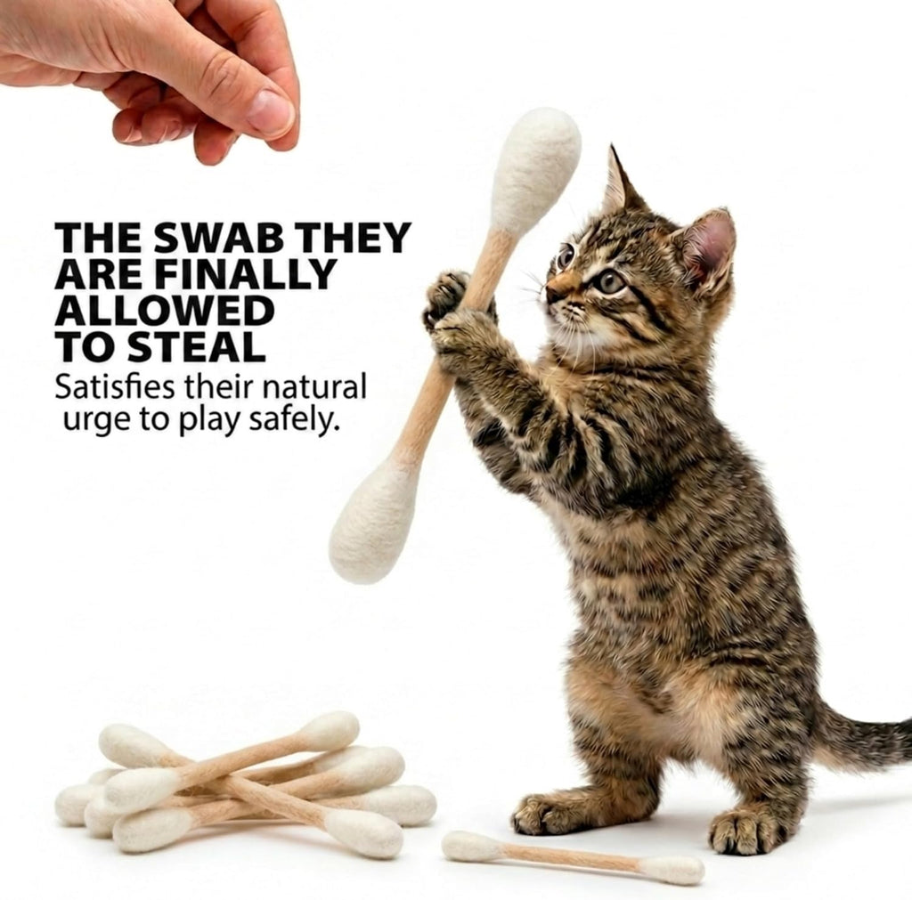 Swabs Cat Toys with Catnip - 6 Pk | Durable for Chew, Cute Cat Toys Interactive Kitty for Boredom, Exercise, & Play |