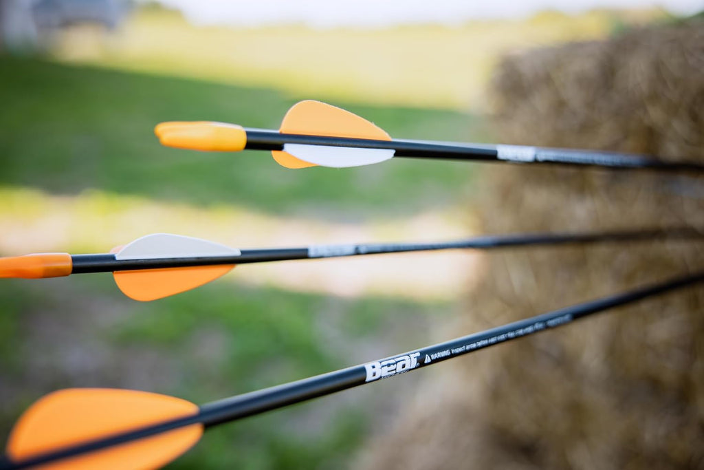Youth Safety Glass Arrows, Durable & Splinter-Free Fiberglass Arrows, Nocks and Points Included, Pre-Fletched with