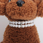 2 Rows Pearls Pet Dog Necklace Collar Bling Accessories Charm Pet Puppy Jewelry Puppy Chihuahua Yorkie Handmade