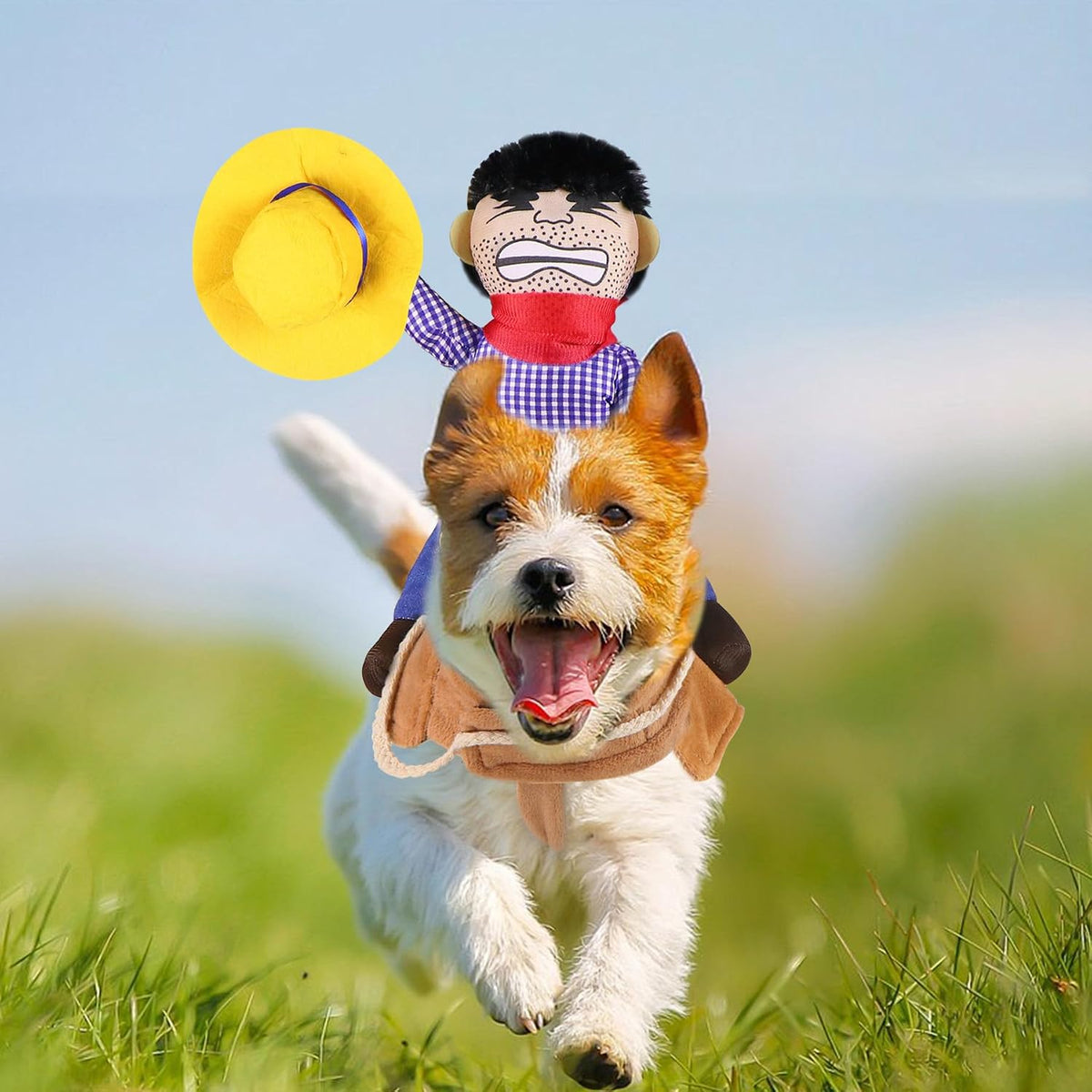 Dog Cowboy Costume, Dog Halloween Costumes Cowboy Rider Dog Costume Funny Dog Costume for Small Medium Large X-Large