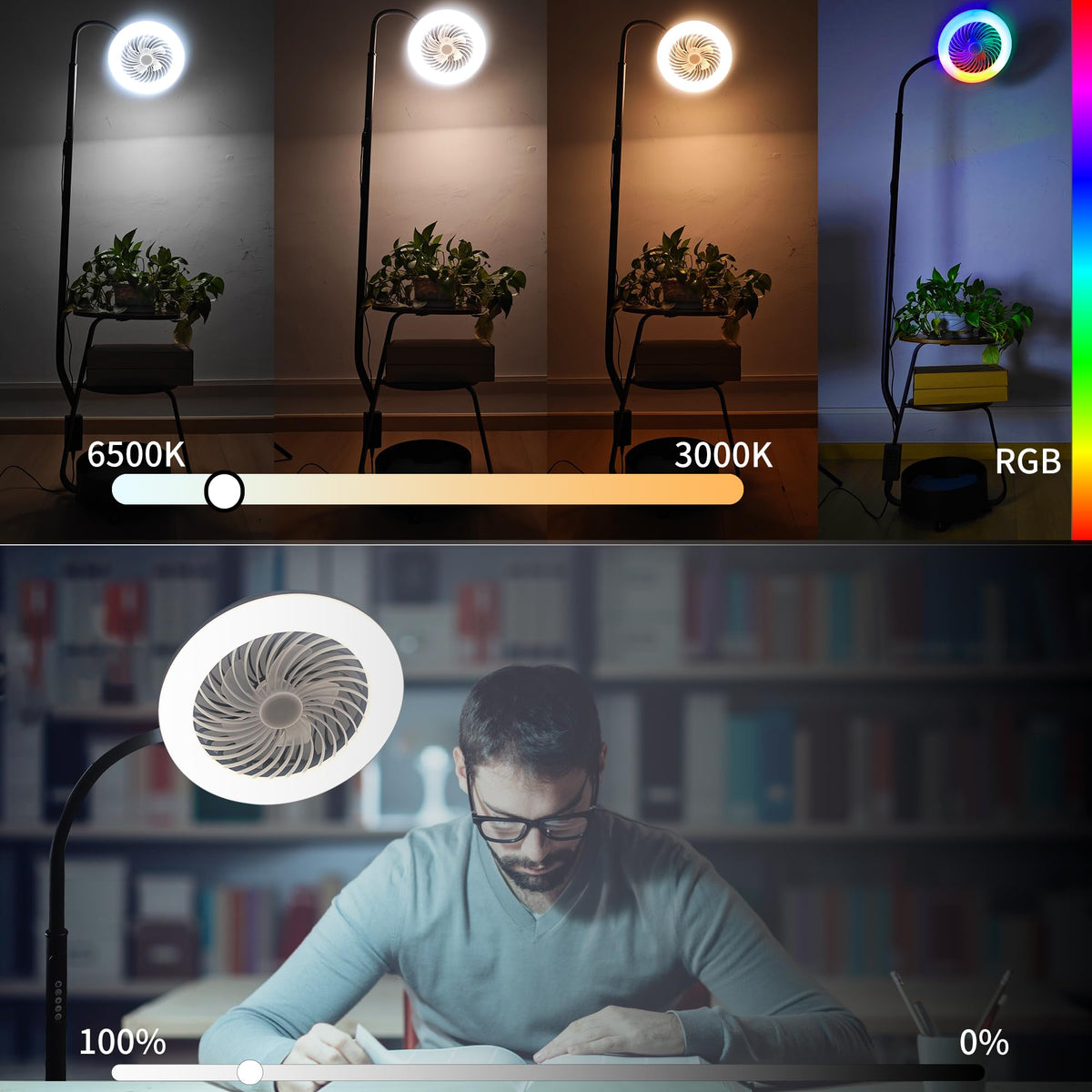 Pedestal Fan with RGB Lights Dimmable Floor Standing Fan 3-Wind Speed