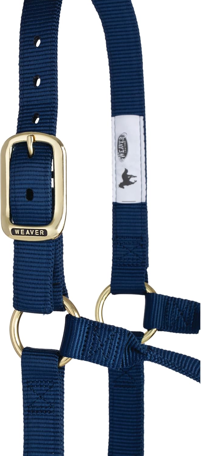 Weaver Leather Supply Original Non-Adjustable Nylon Horse Halter, Average, Navy