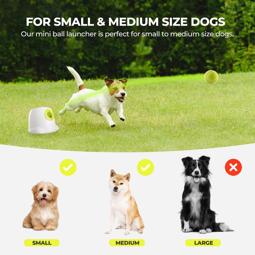 AFP Automatic Ball Launcher Dog Ball Thrower Machine Interactive Hyper Fetching Toy for Large Dogs, 3 Tennis Balls