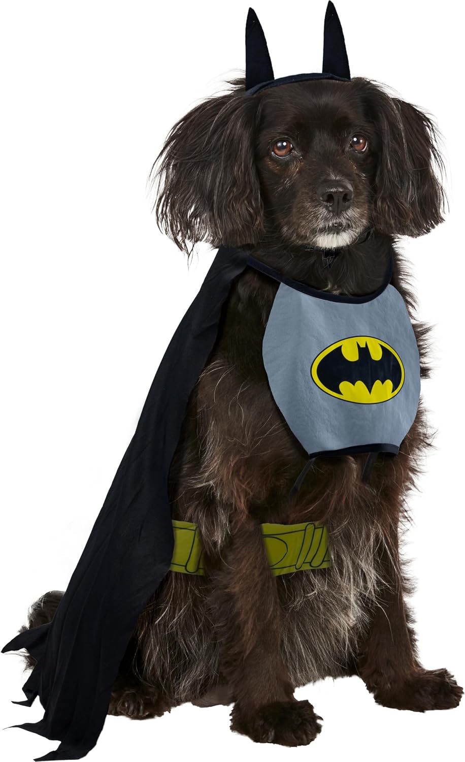 DC Comics Superheroes: Batman Pet Costume for Dogs or Cats, XL