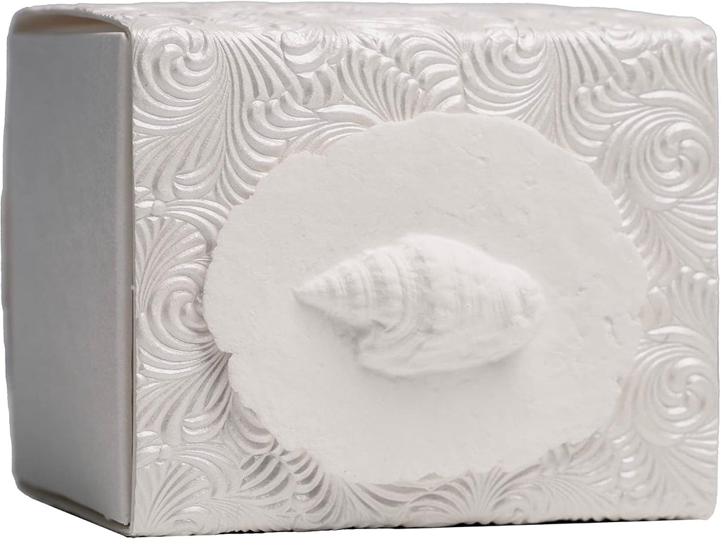 The Favorite Place Burial Biodegradable Urn for Human Ashes, (Small Shell Urn Box), Water Burial Urn, Urn for
