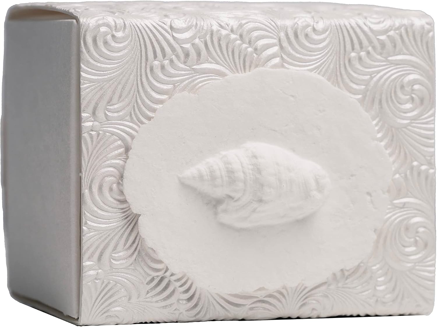 The Favorite Place Burial Biodegradable Urn for Human Ashes, (Small Shell Urn Box), Water Burial Urn, Urn for