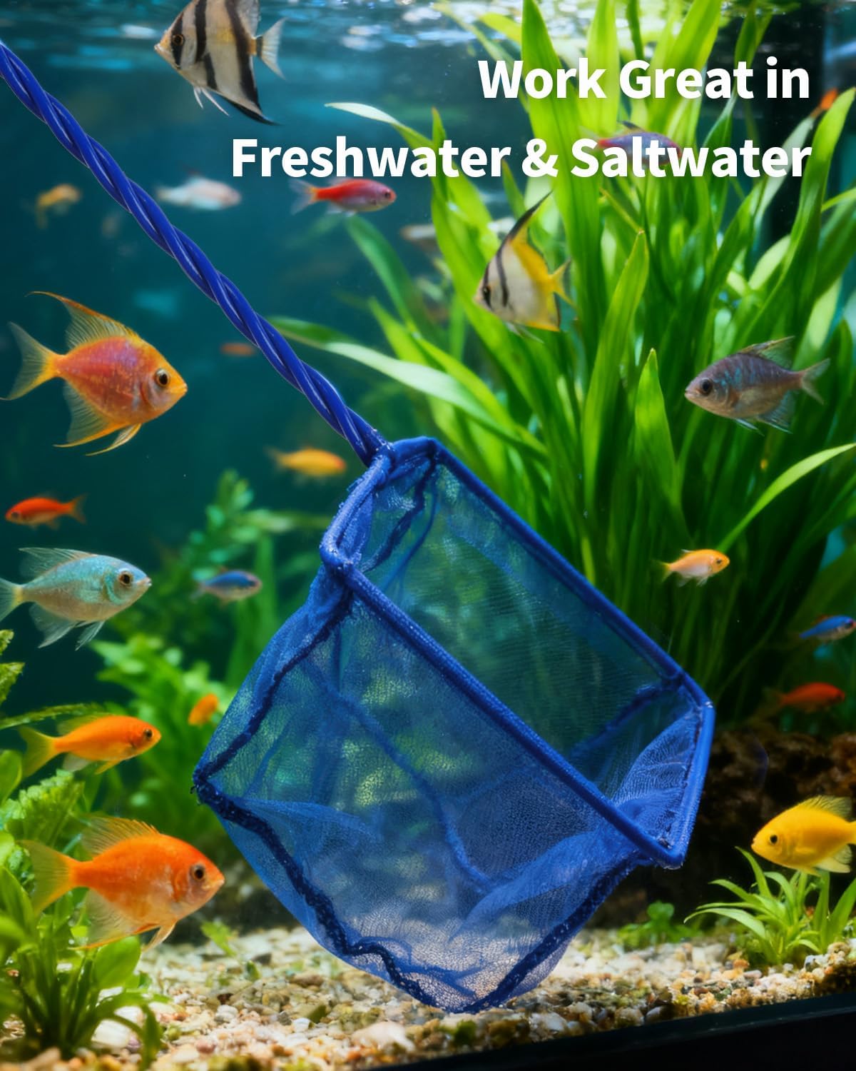 5''/6'' Fish Net for Fish Tank, Aquarium Net with Braided Metal Handle and Nylon Mesh, Small Fish Net Minnow Net for