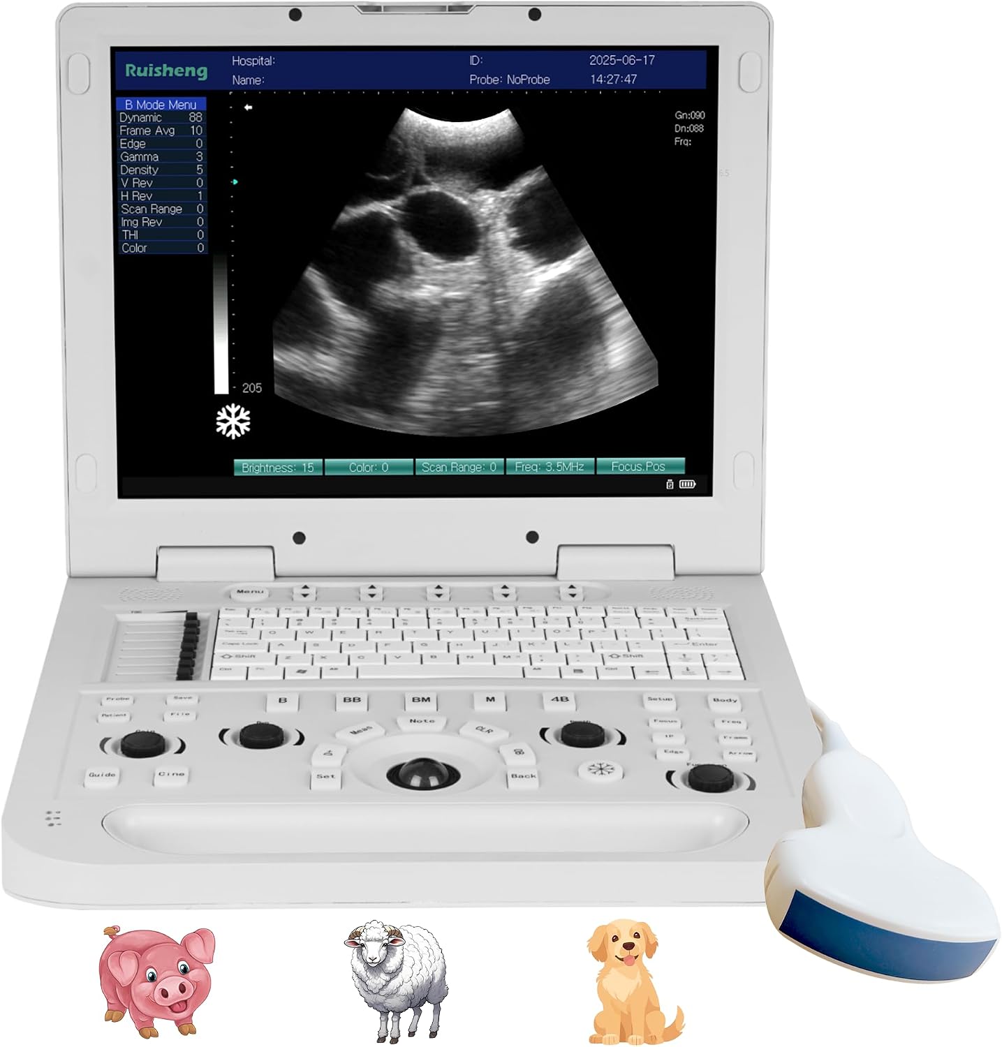 N20+3.5MHz Convex Probe Protable Laptop Veterinary Ultrasound Machine