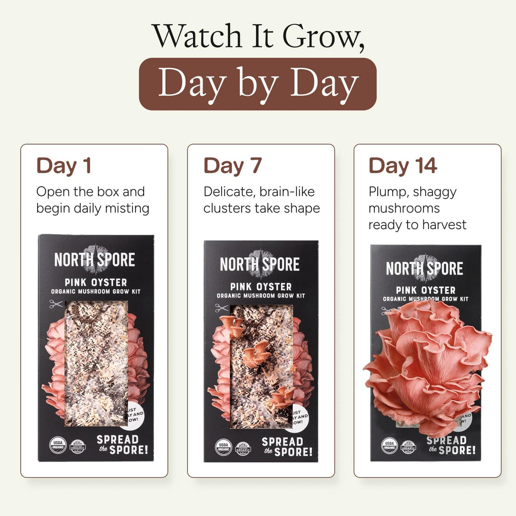 Organic Pink Oyster Mushroom Grow Kit, 4 lbs
