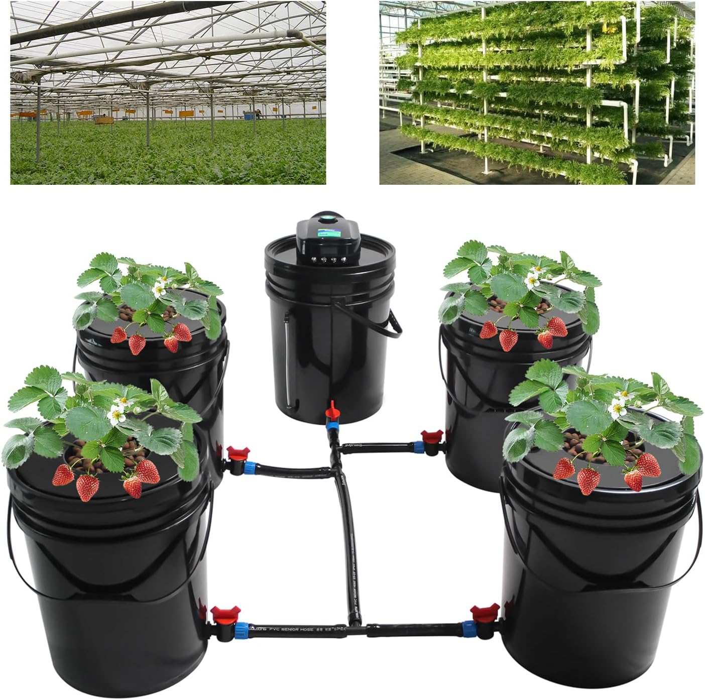 DWC Hydroponics System,5.28 Gallon 5 Buckets Deep Water Culture Hydroponic Bucket Kit with Air Pump, Recirculating