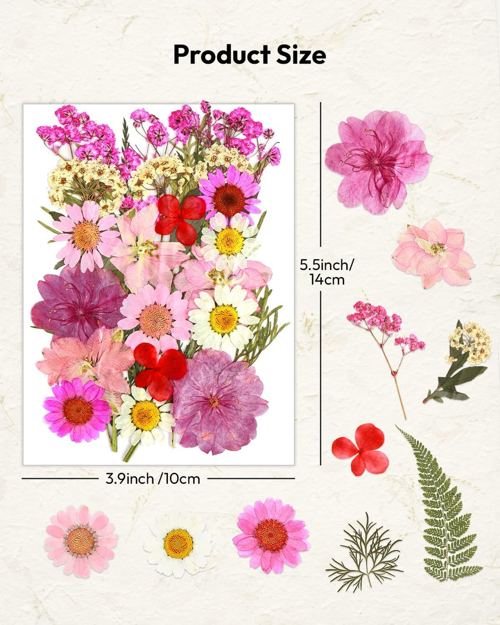 Dried Flowers, Resiners 100Pcs Pressed Flowers for Craft Purple Real Natural Dried Flowers Dry Leaves Kit for DIY