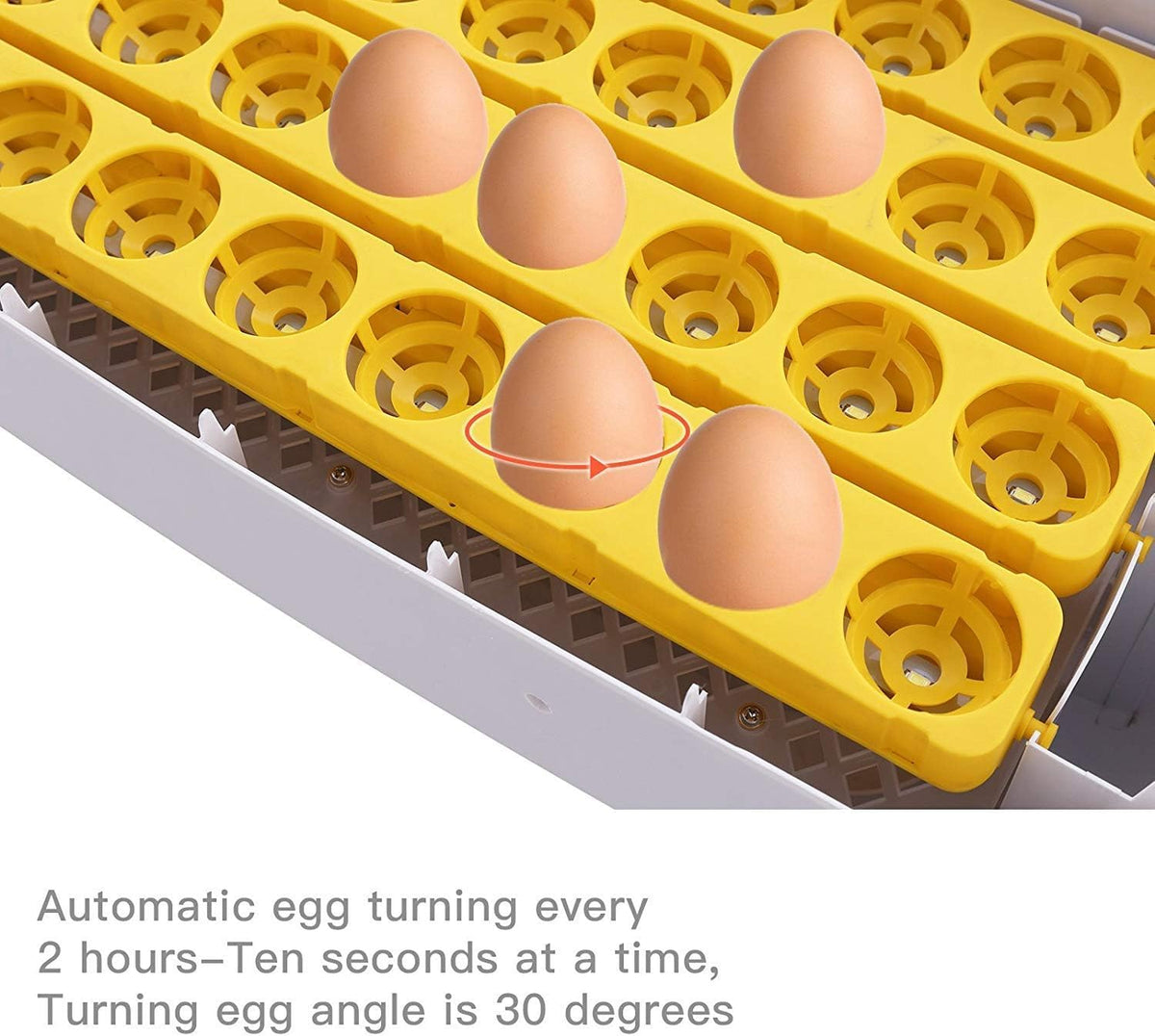 55 Egg Incubator with Auto Turner & Humidity Control 360° View